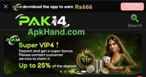 Pak14 Game